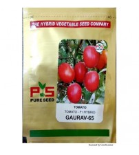 Tomato Gaurav-65